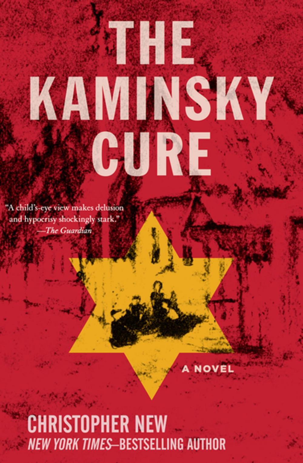 Big bigCover of The Kaminsky Cure