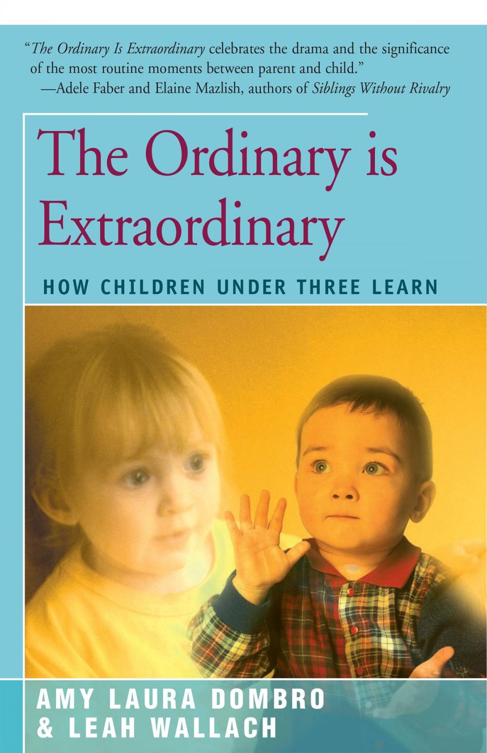 Big bigCover of The Ordinary is Extraordinary