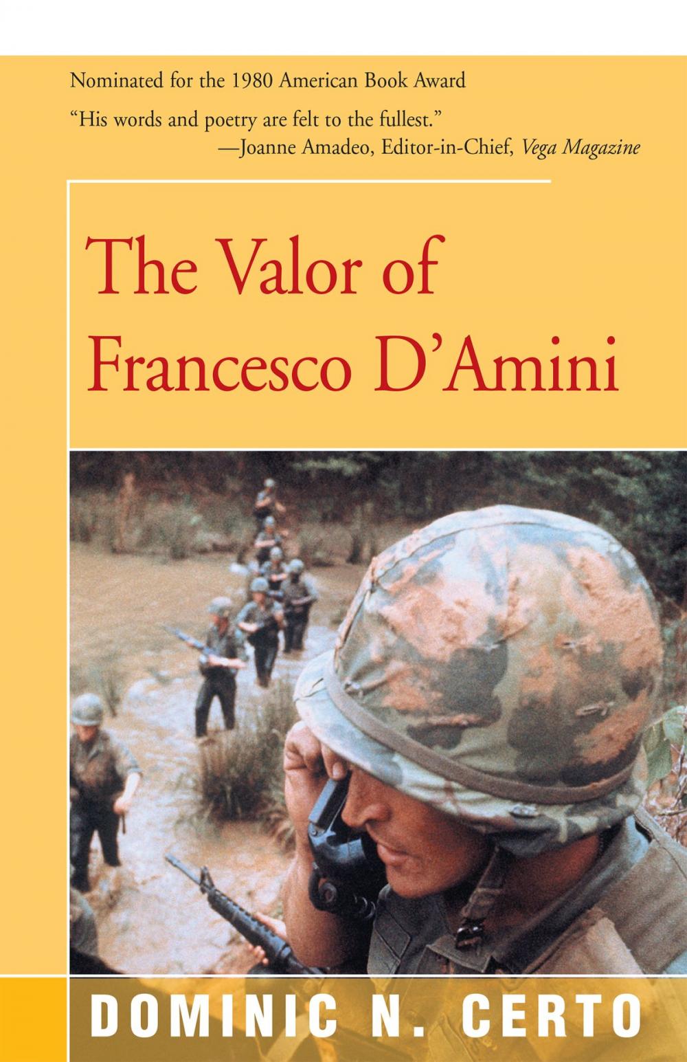 Big bigCover of The Valor of Francesco D'Amini