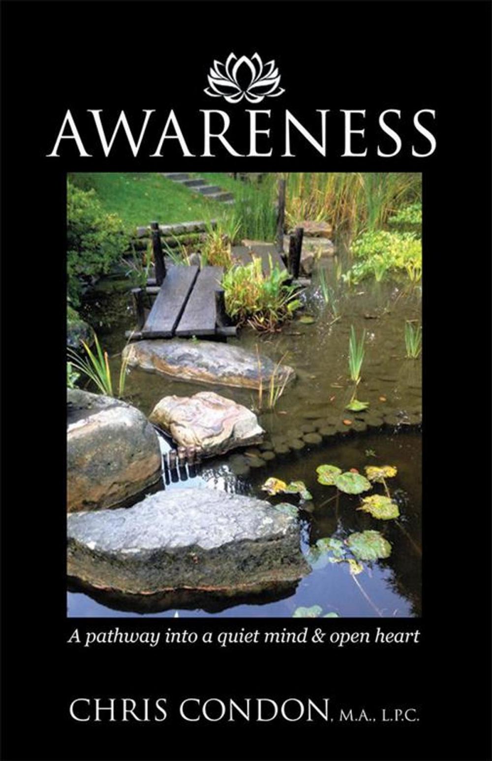 Big bigCover of Awareness