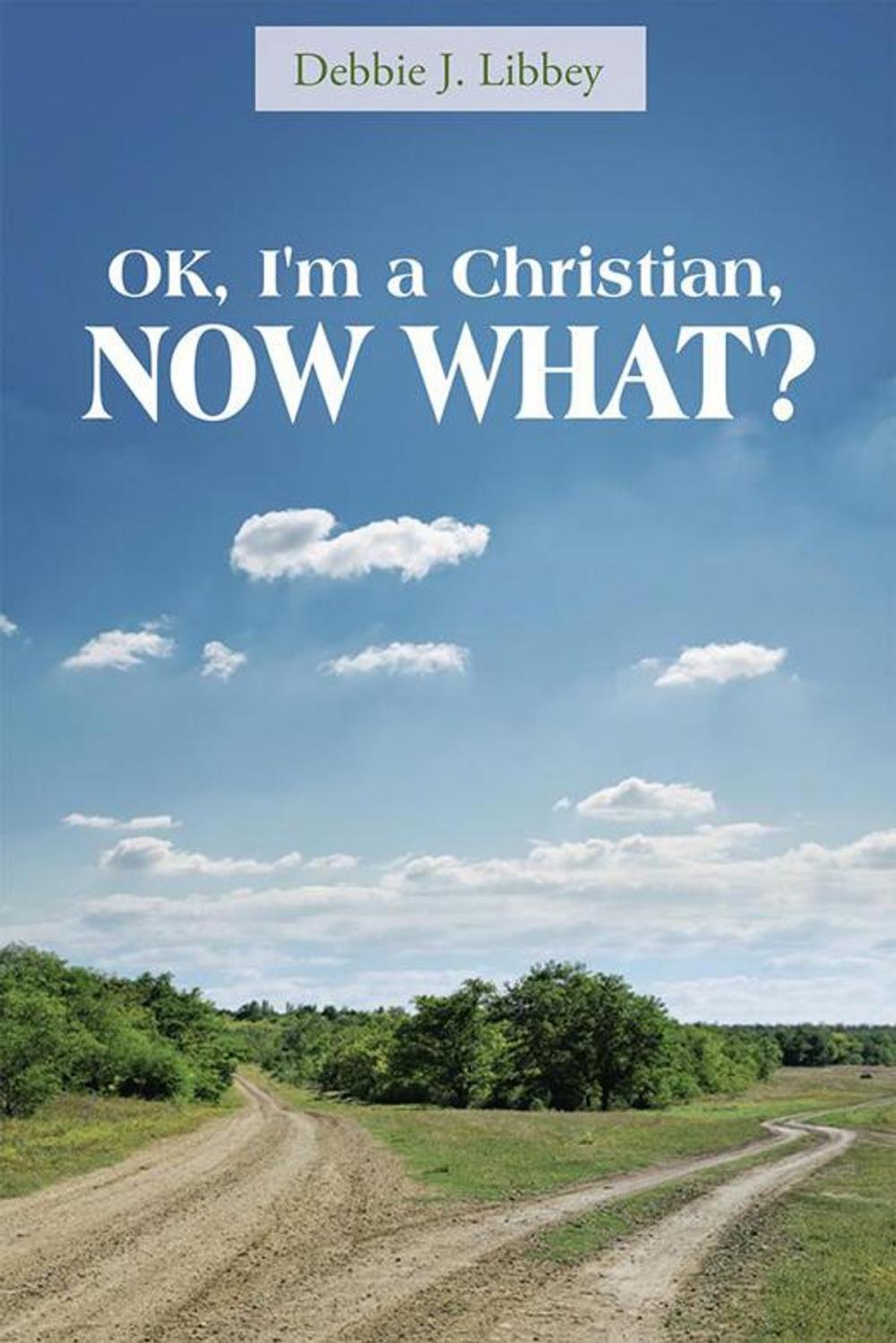 Big bigCover of Ok, I'm a Christian, Now What?