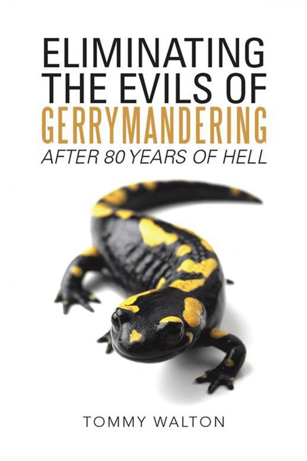 Big bigCover of Eliminating the Evils of Gerrymandering After 80 Years of Hell