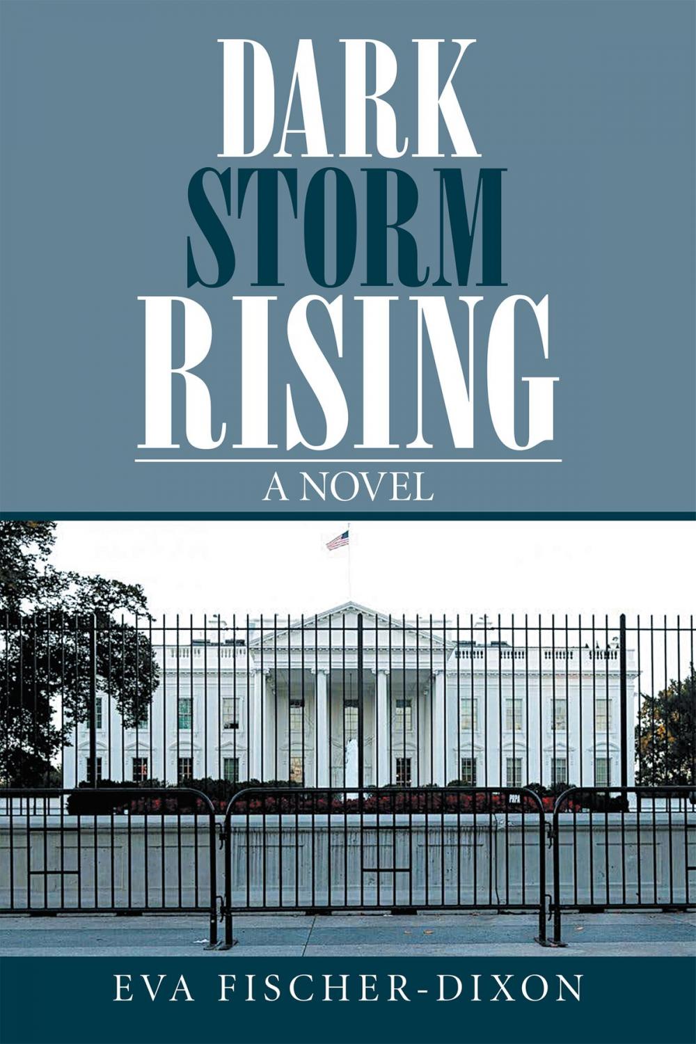 Big bigCover of Dark Storm Rising