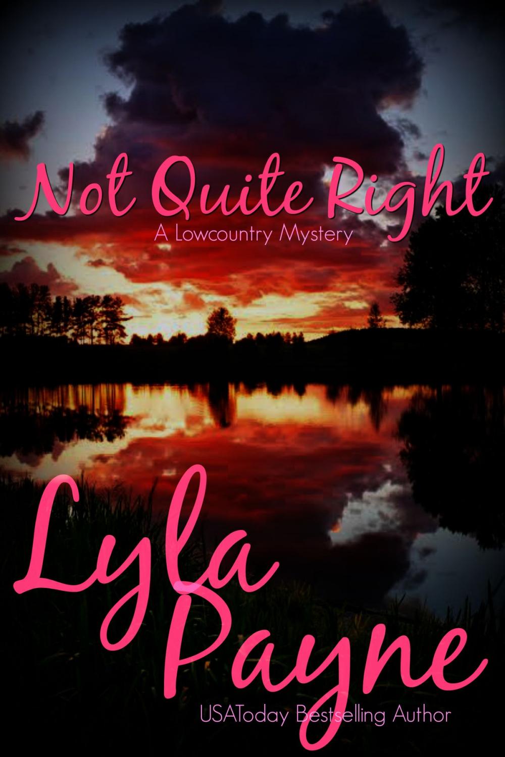 Big bigCover of Not Quite Right (A Lowcountry Mystery)