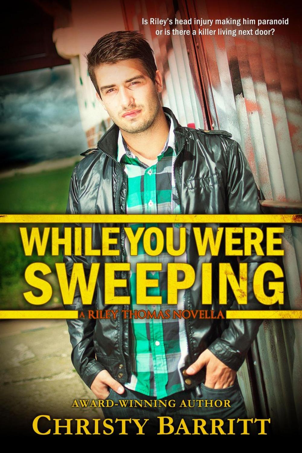 Big bigCover of While You Were Sweeping