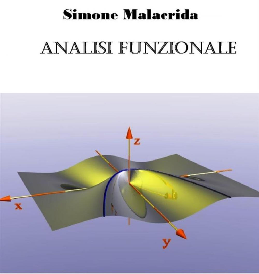 Big bigCover of Analisi funzionale