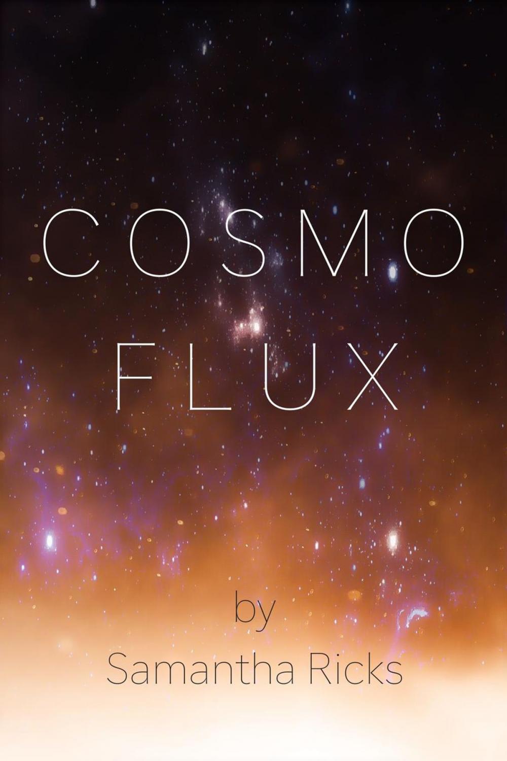 Big bigCover of Cosmoflux