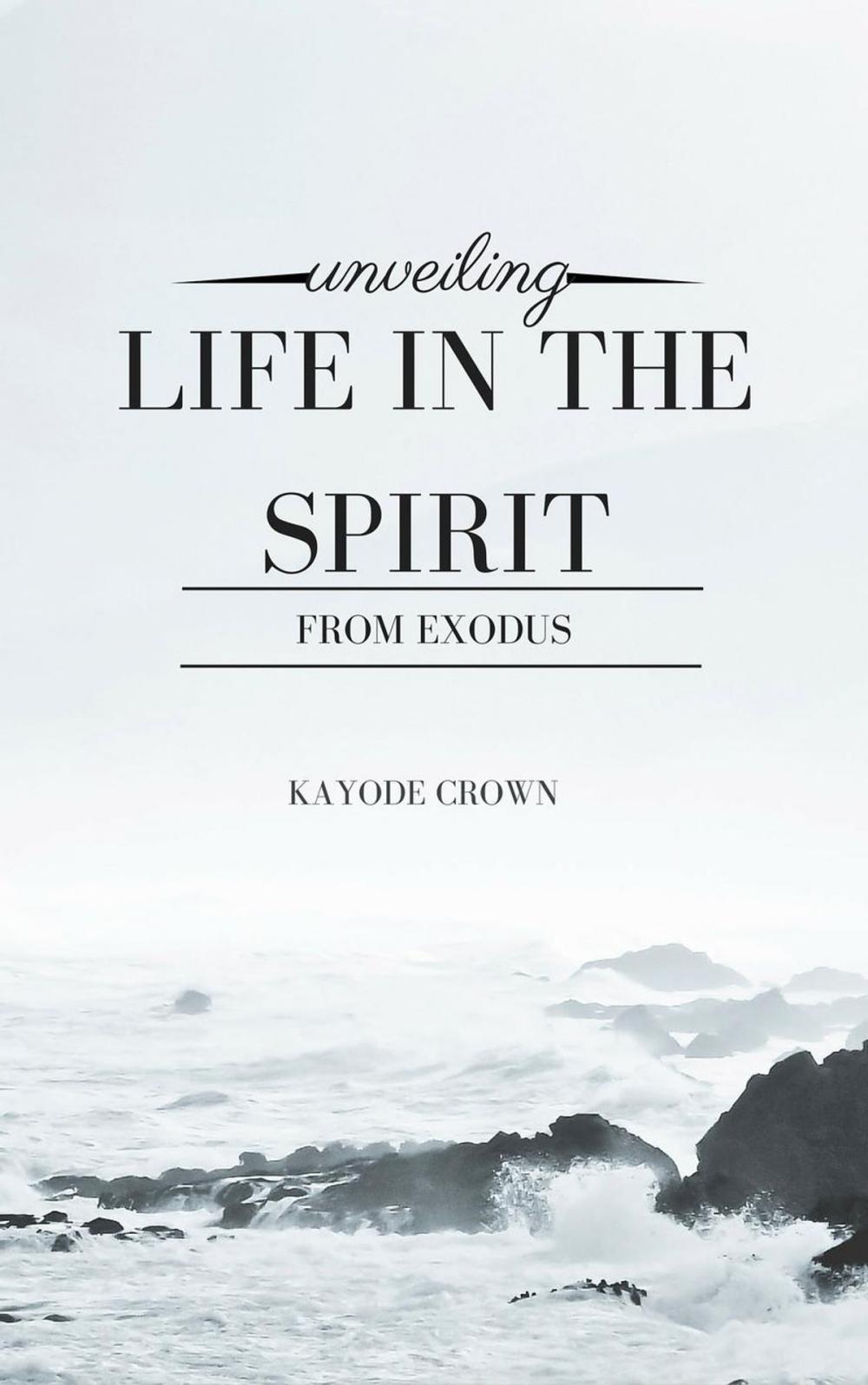 Big bigCover of Unveiling Life in the Spirit From Exodus