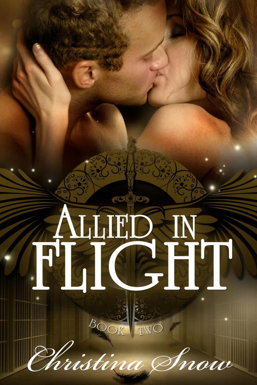 Big bigCover of Allied in Flight