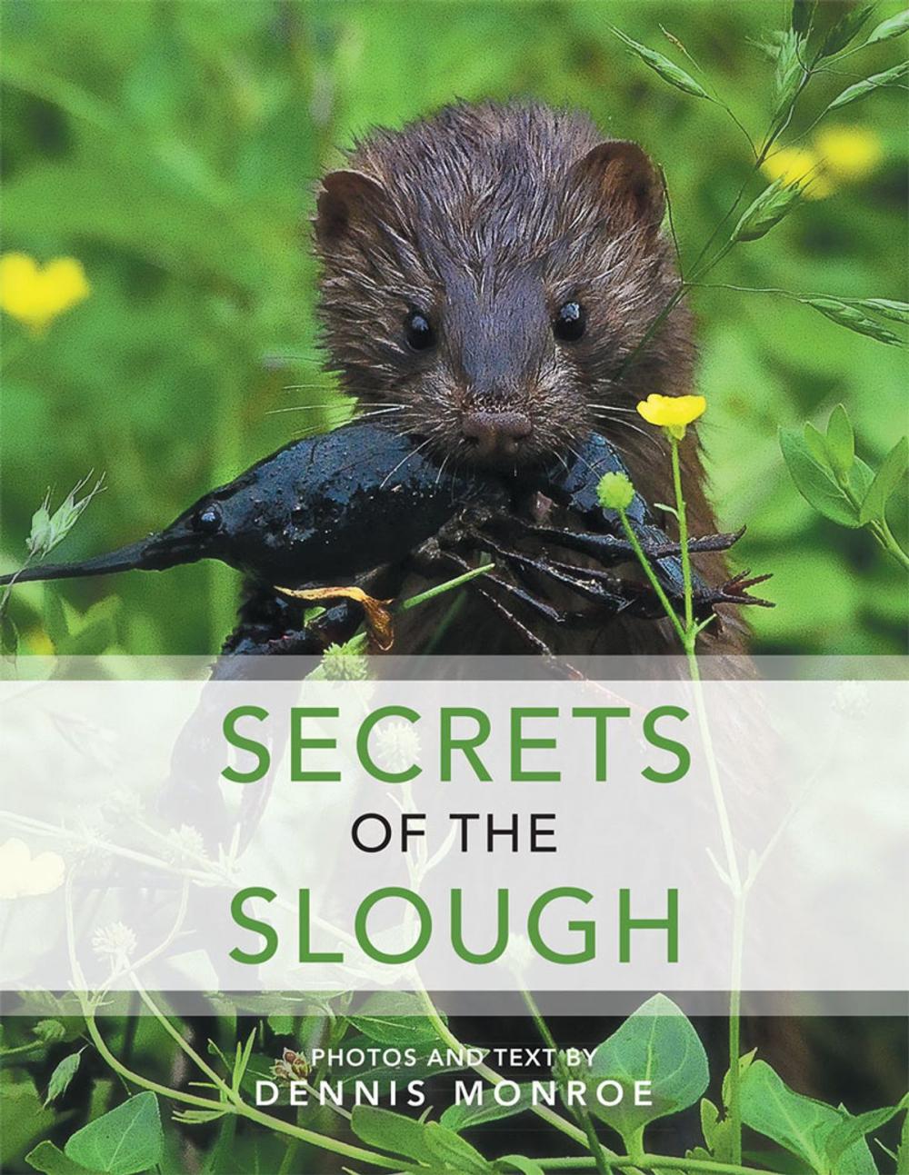 Big bigCover of Secrets of the Slough