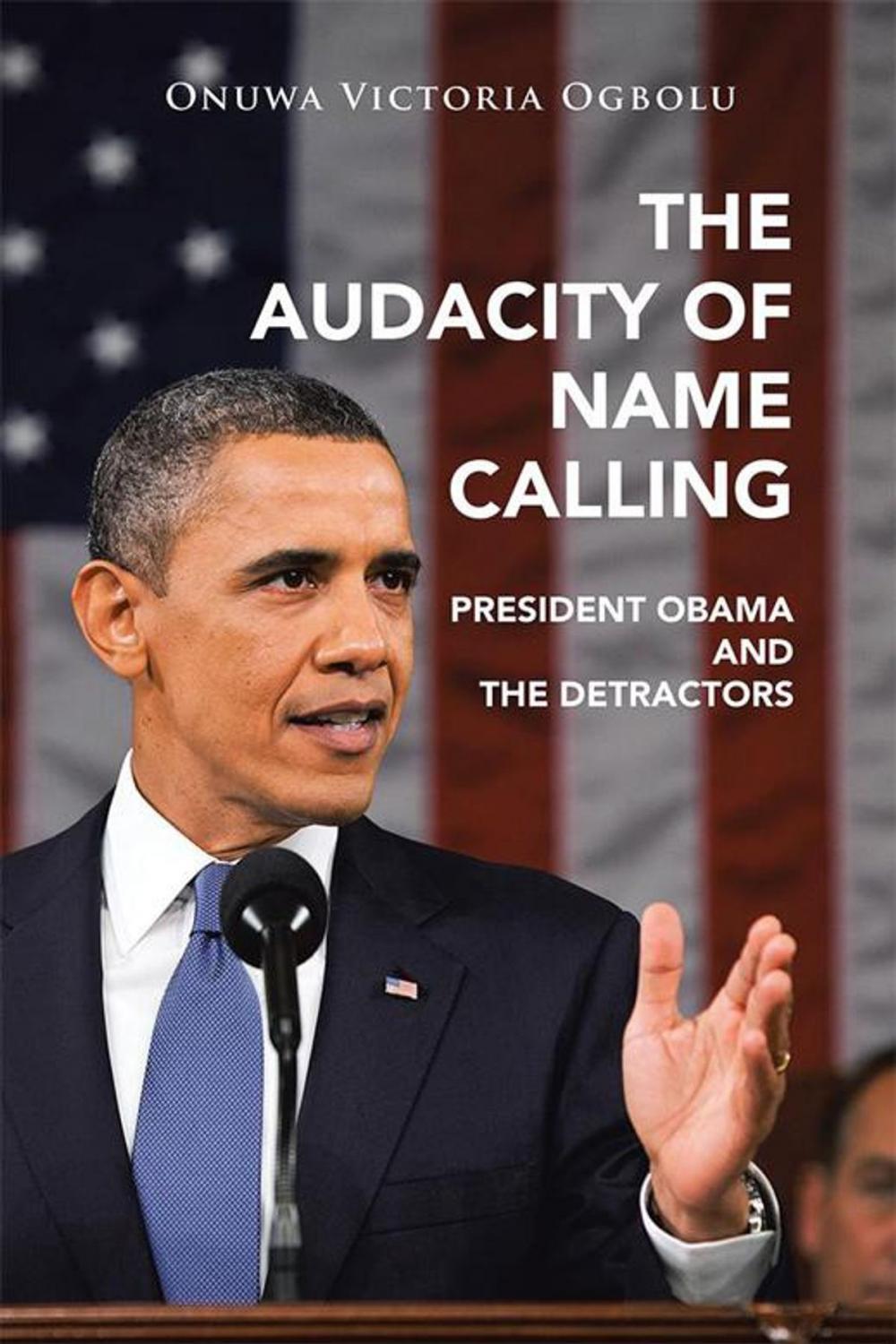 Big bigCover of The Audacity of Name Calling