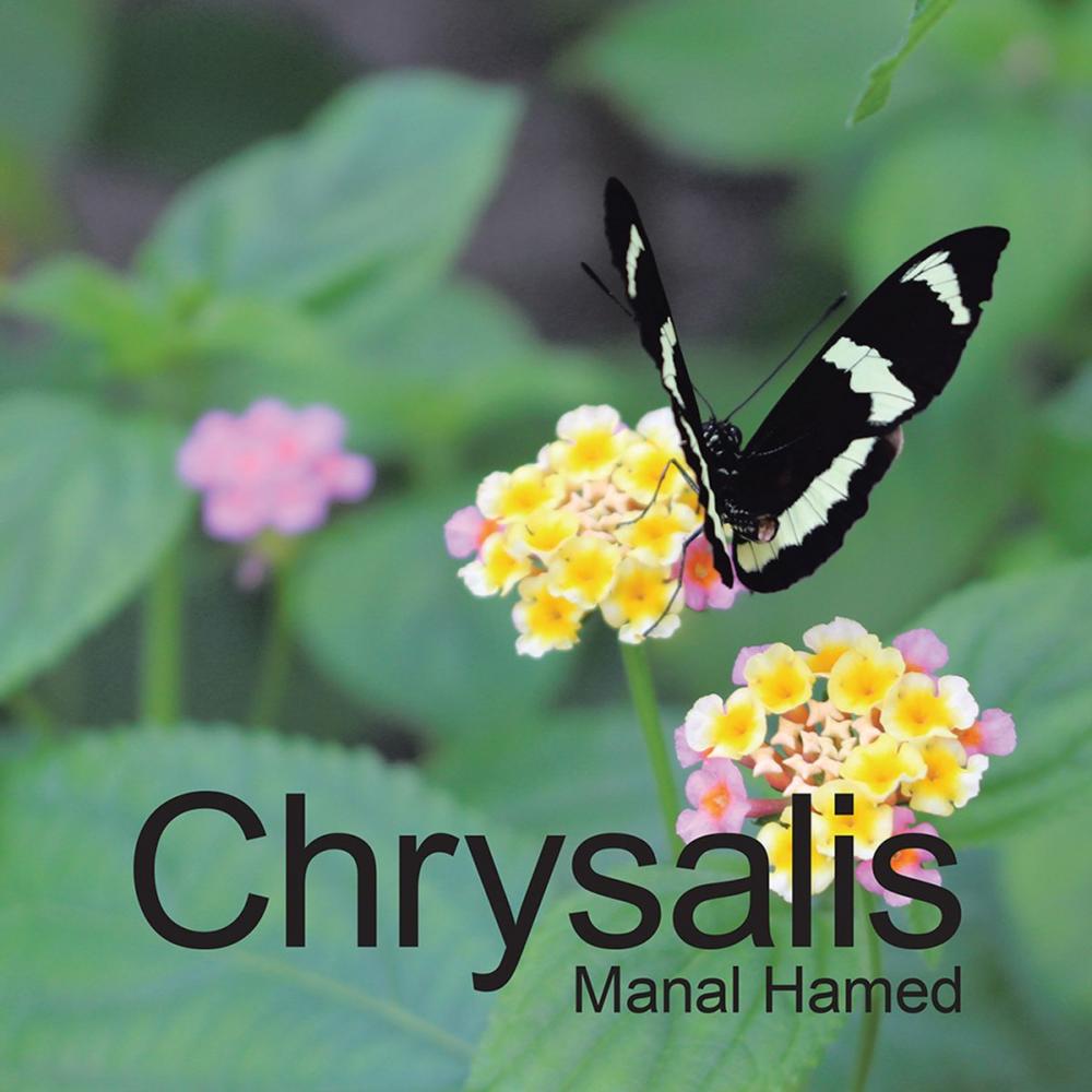 Big bigCover of Chrysalis