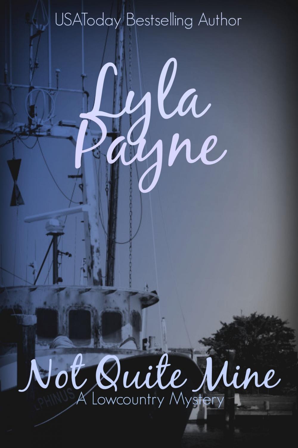 Big bigCover of Not Quite Mine (A Lowcountry Mystery)