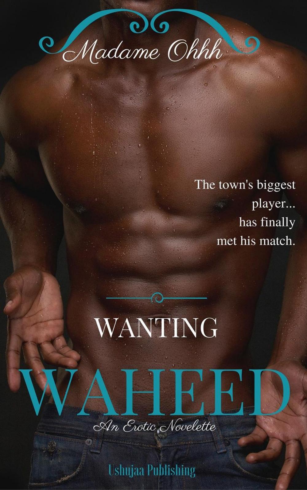 Big bigCover of Wanting Waheed