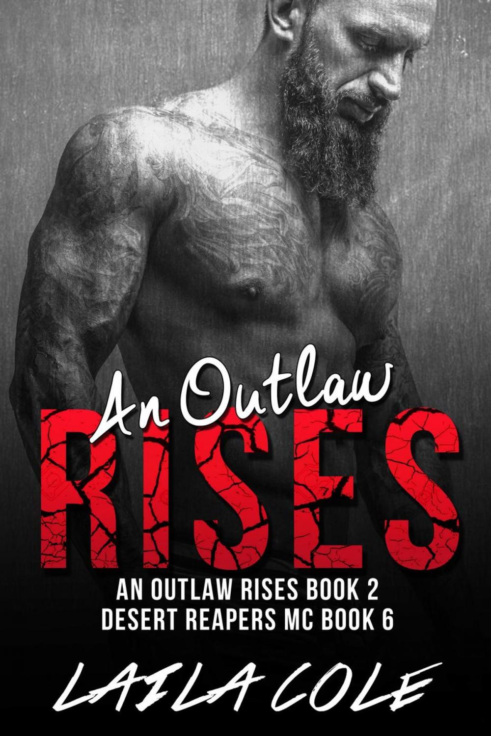 Big bigCover of An Outlaw Rises - Book 2