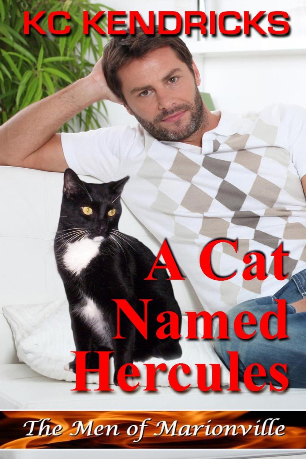 Big bigCover of A Cat Named Hercules