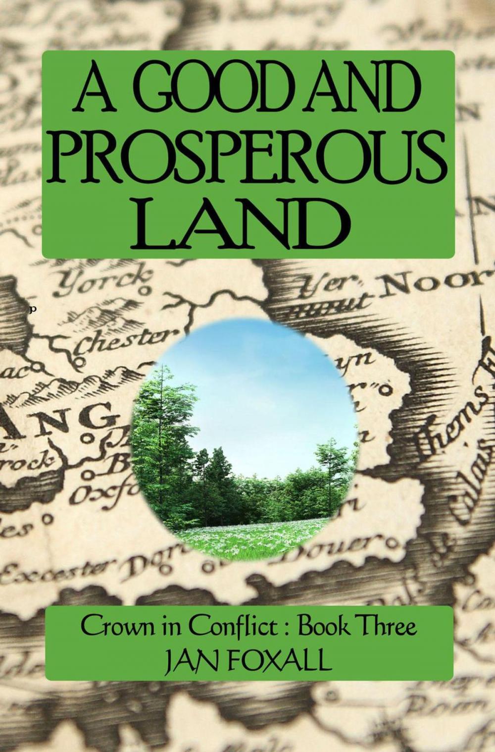 Big bigCover of A Good and Prosperous Land