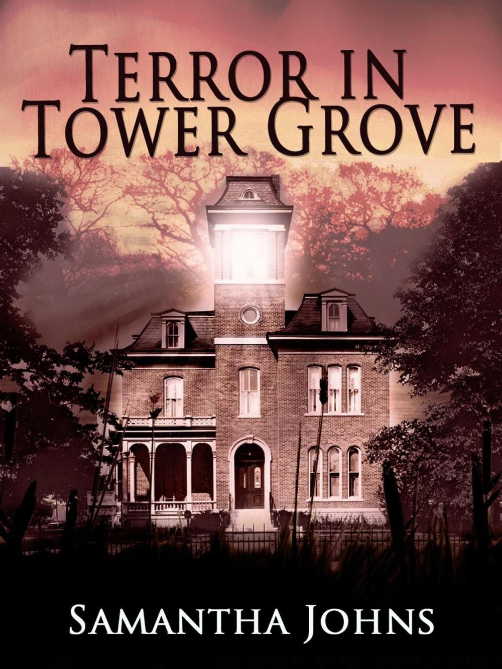 Big bigCover of Terror in Tower Grove