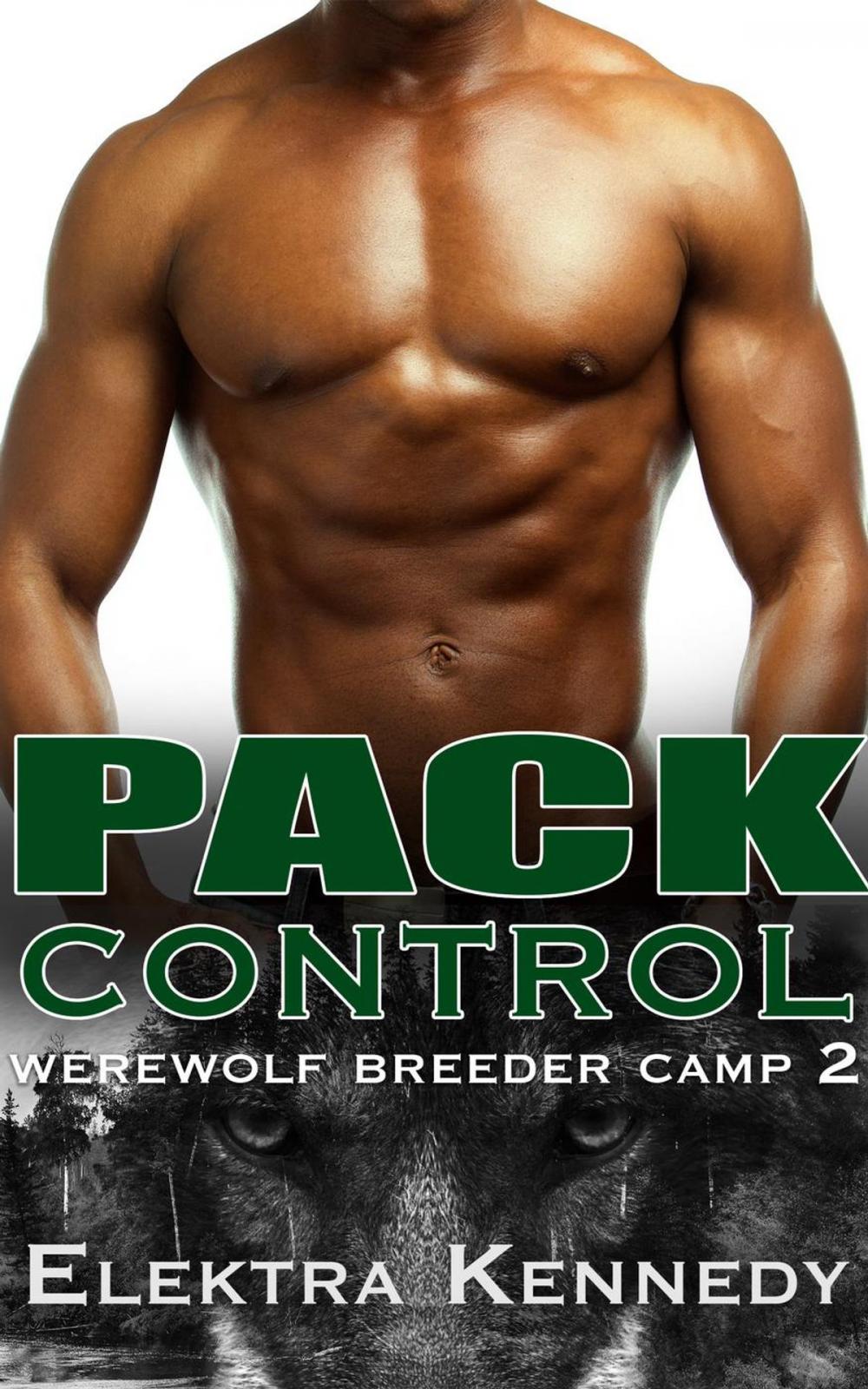 Big bigCover of Pack Control