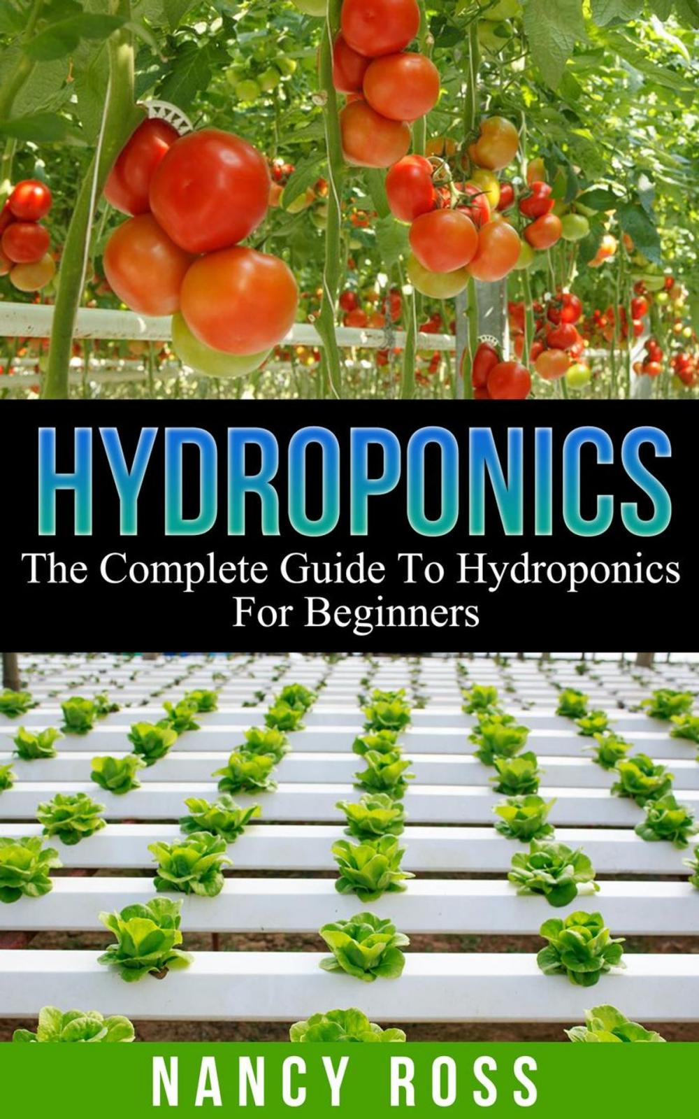 Big bigCover of Hydroponics: The Complete Guide To Hydroponics For Beginners