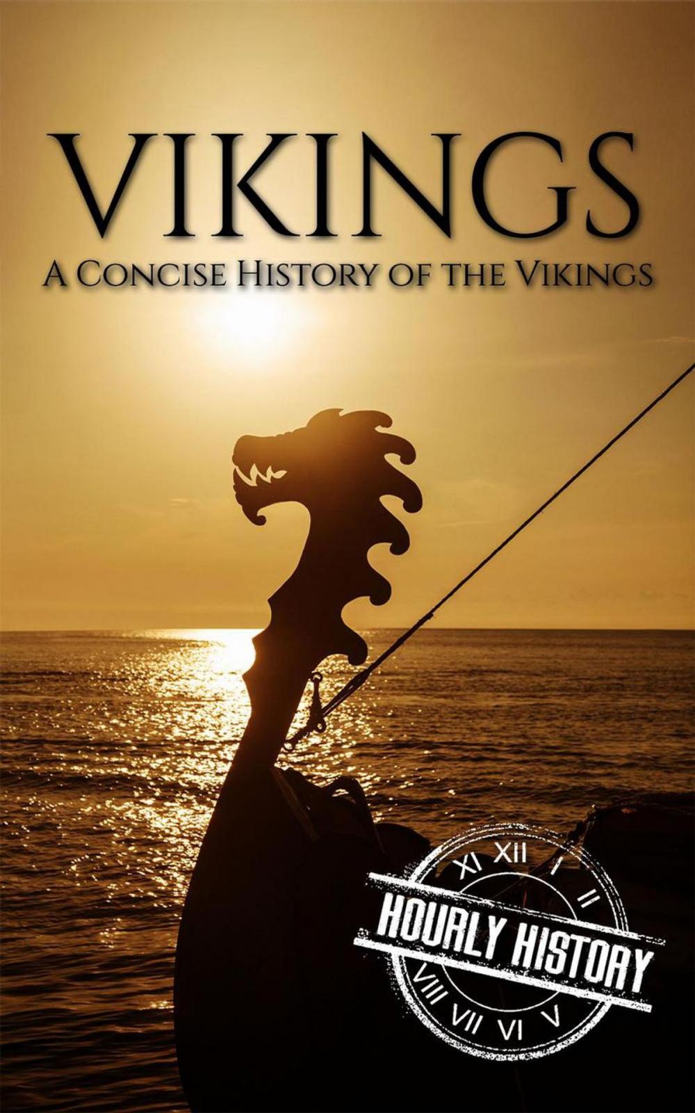 Big bigCover of Vikings: A Concise History of the Vikings