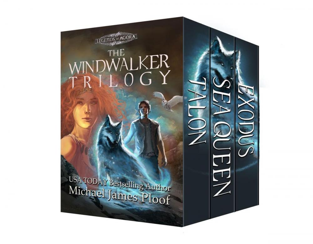 Big bigCover of The Windwalker Trilogy