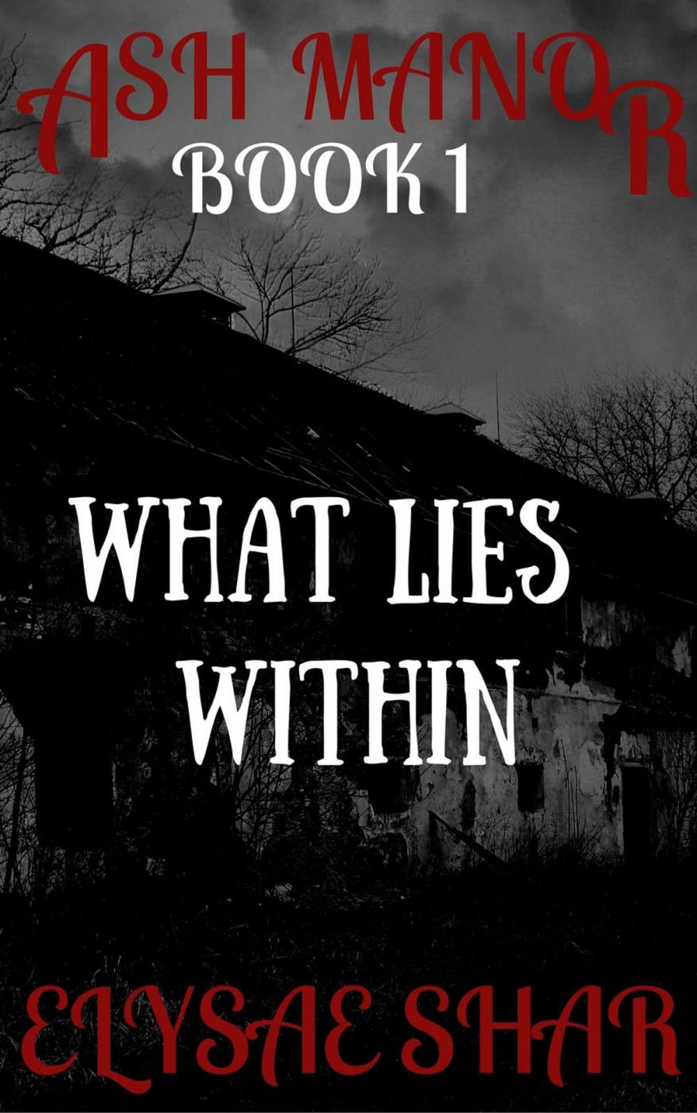 Big bigCover of What Lies Within