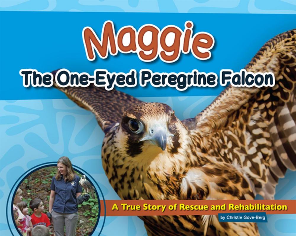 Big bigCover of Maggie the One-Eyed Peregrine Falcon