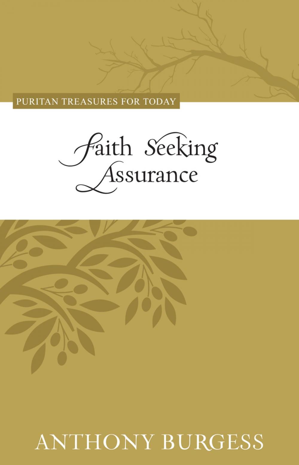 Big bigCover of Faith Seeking Assurance