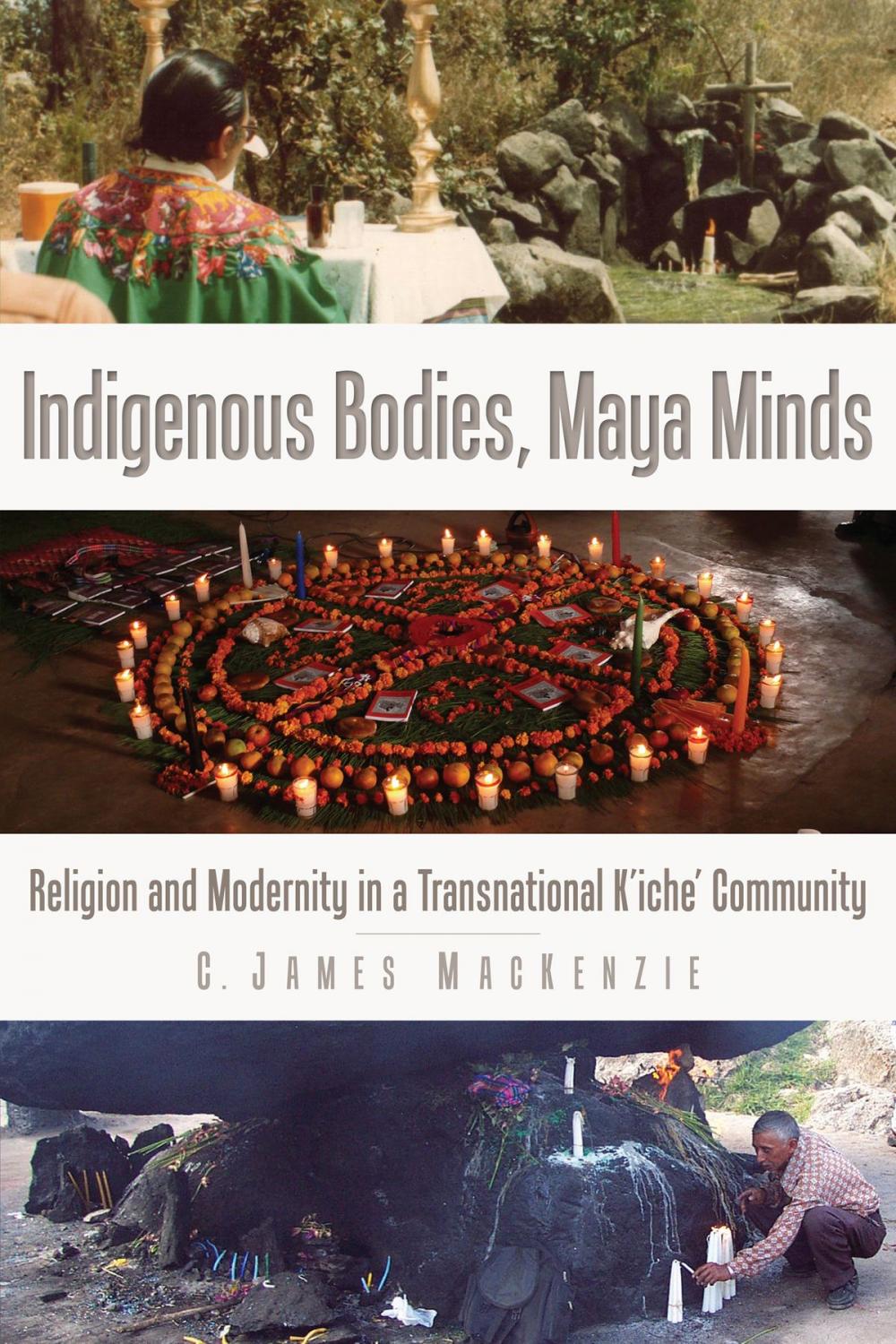 Big bigCover of Indigenous Bodies, Maya Minds