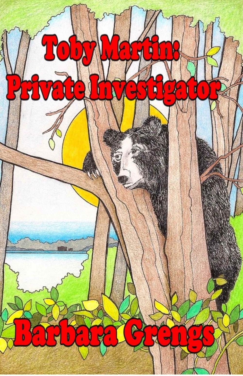 Big bigCover of Toby Martin: Private Investigator