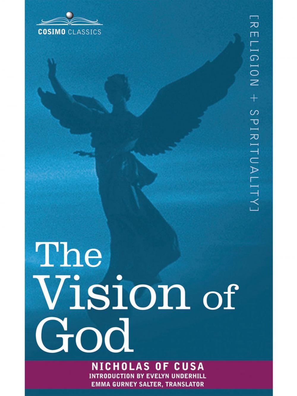 Big bigCover of The Vision of God