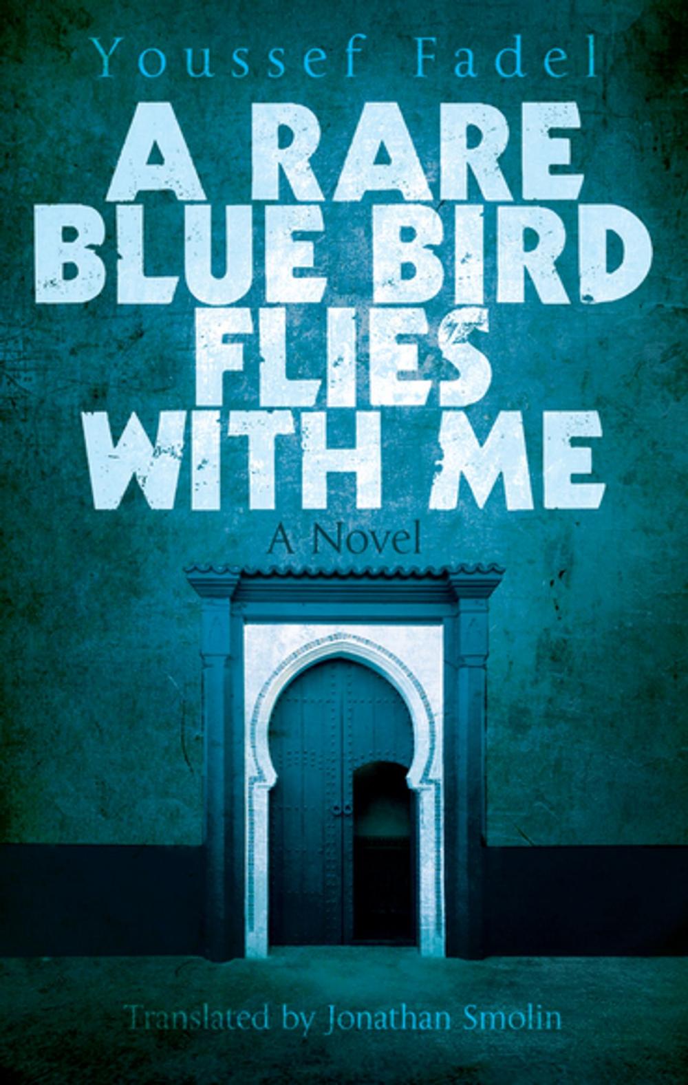 Big bigCover of A Rare Blue Bird Flies with Me