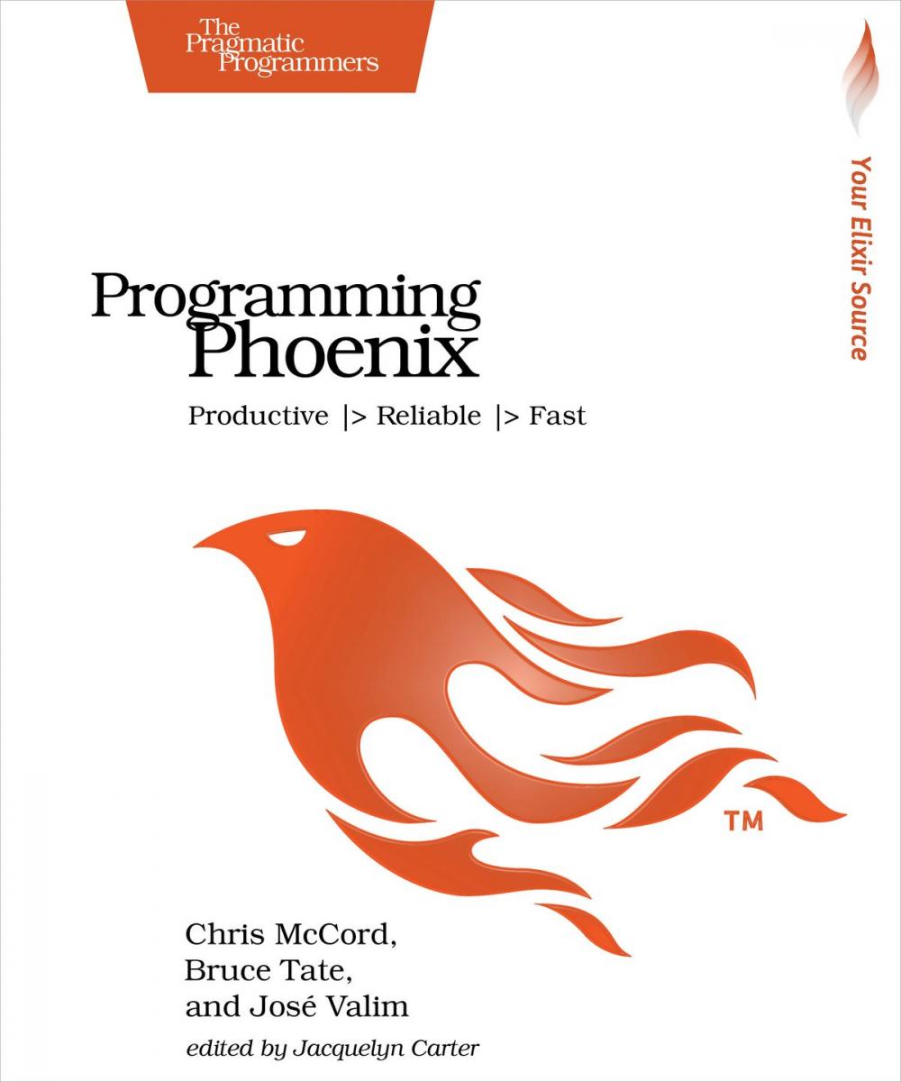 Big bigCover of Programming Phoenix