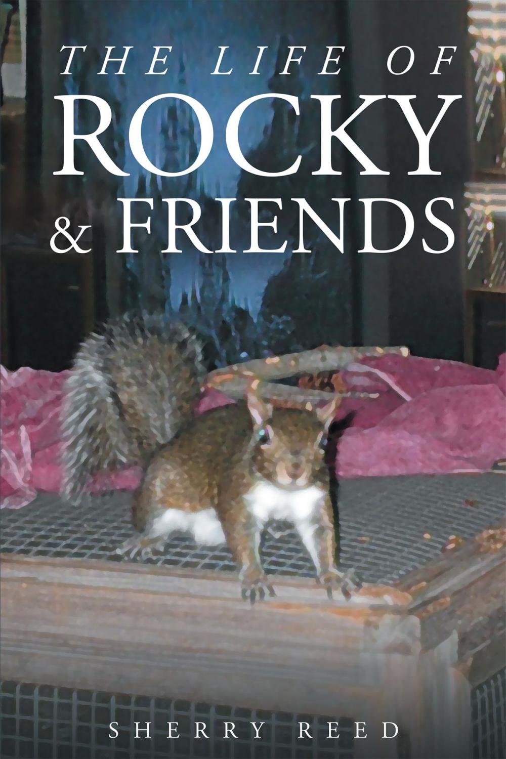 Big bigCover of The Life of Rocky & Friends