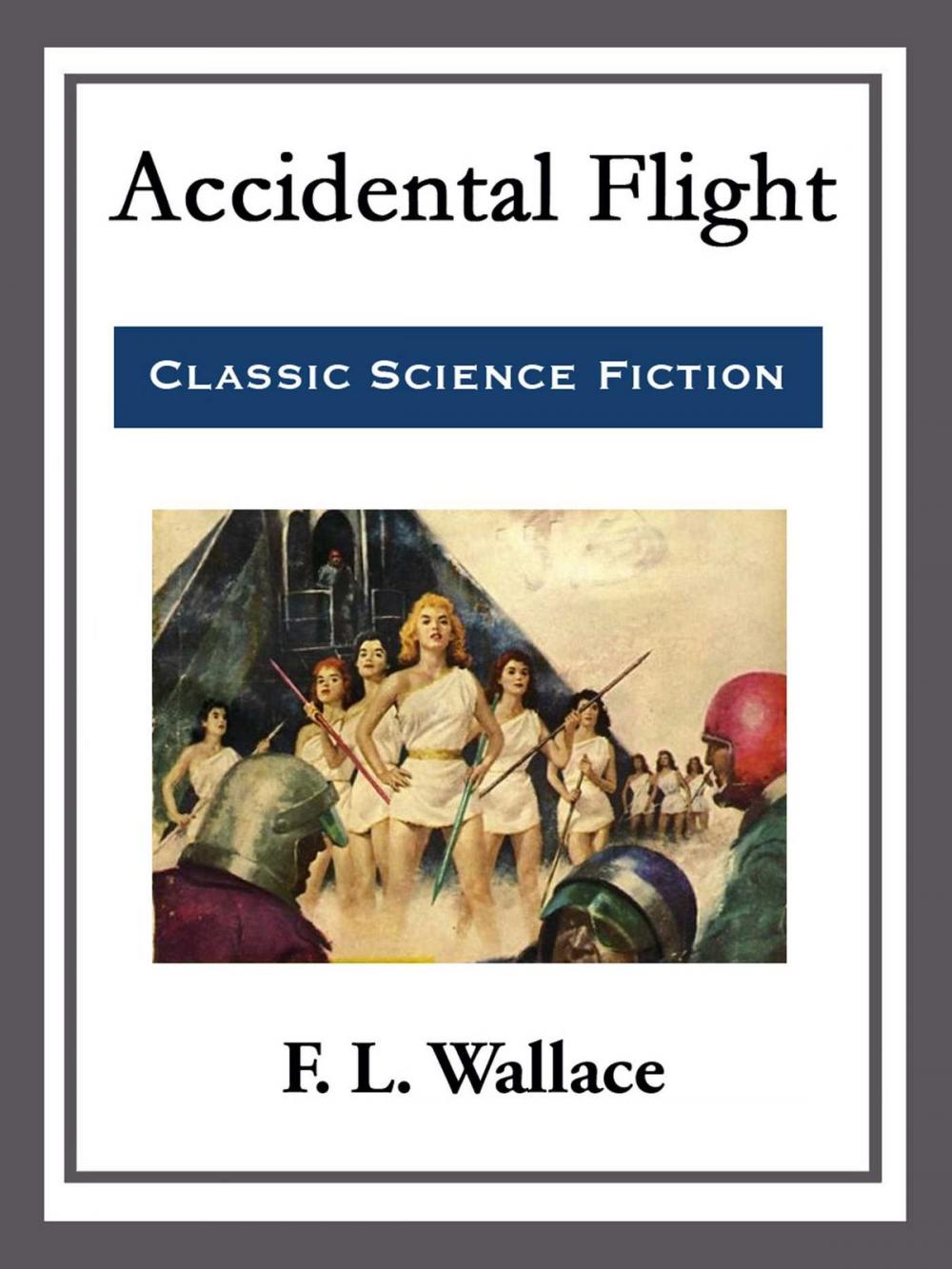 Big bigCover of Accidental Flight