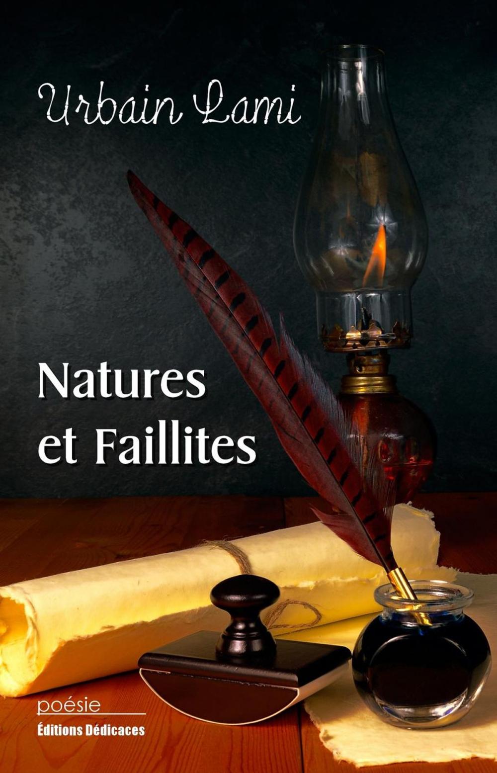 Big bigCover of Natures et faillites