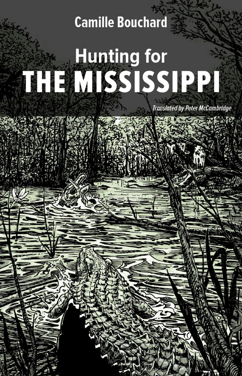 Big bigCover of Hunting for the Mississippi