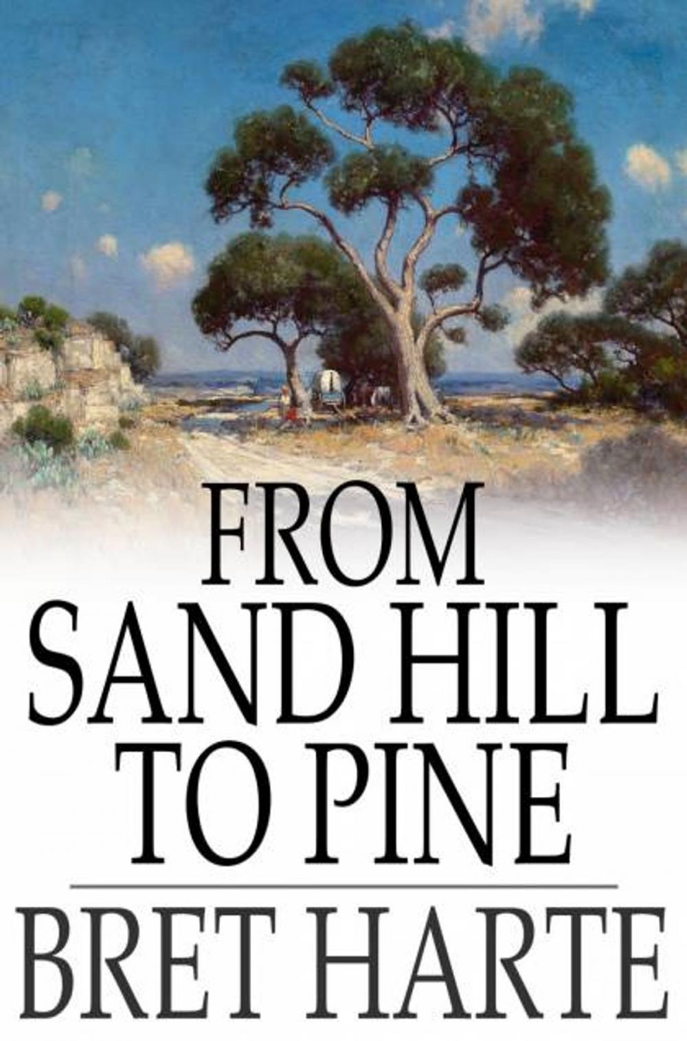 Big bigCover of From Sand Hill to Pine