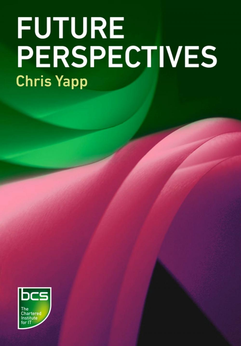 Big bigCover of Future Perspectives