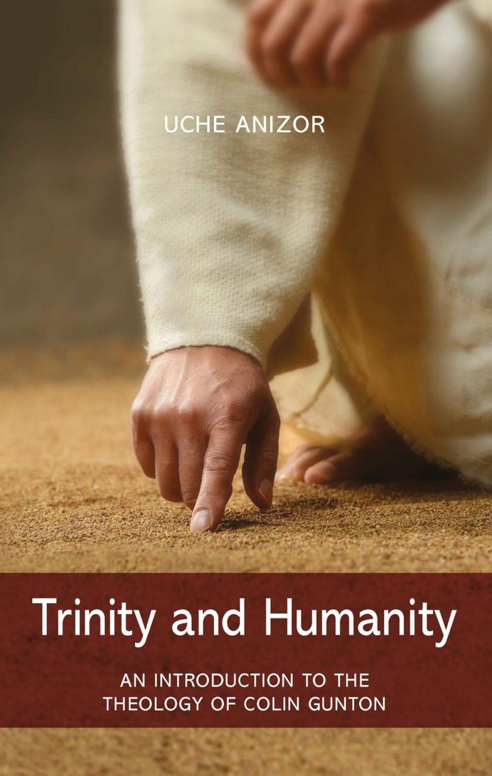 Big bigCover of Trinity and Humanity