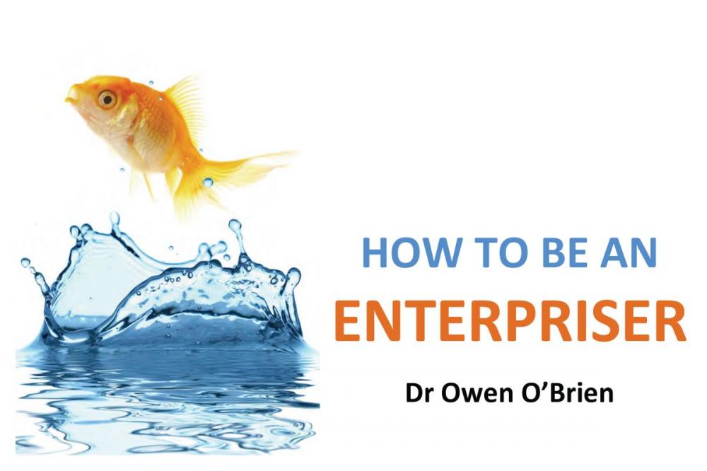 Big bigCover of How to be an Enterpriser