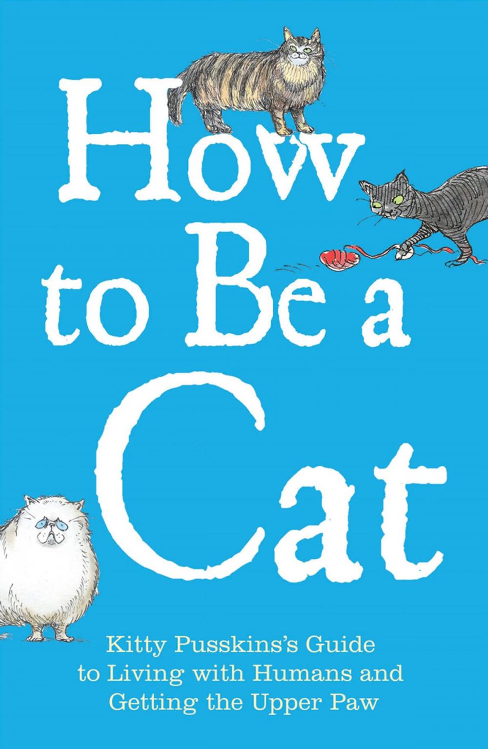 Big bigCover of How to Be a Cat