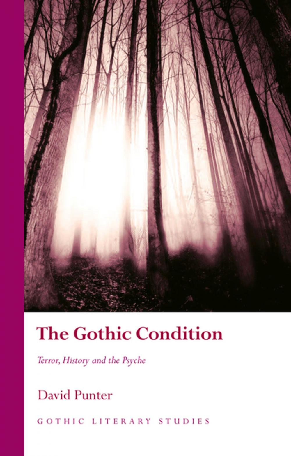 Big bigCover of The Gothic Condition