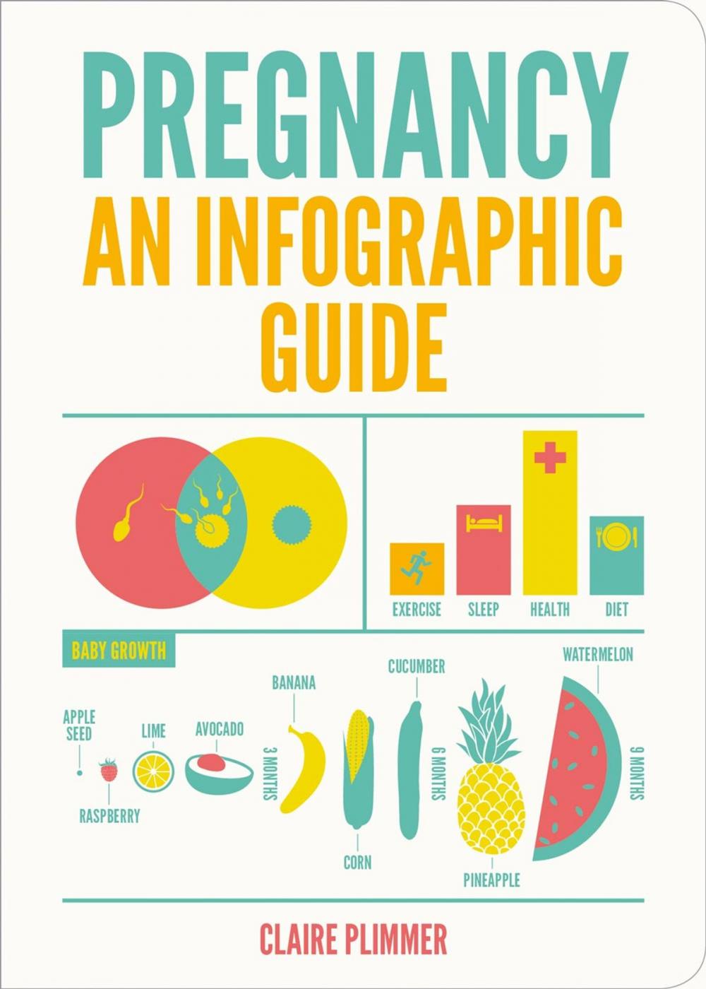 Big bigCover of Pregnancy: An Infographic Guide