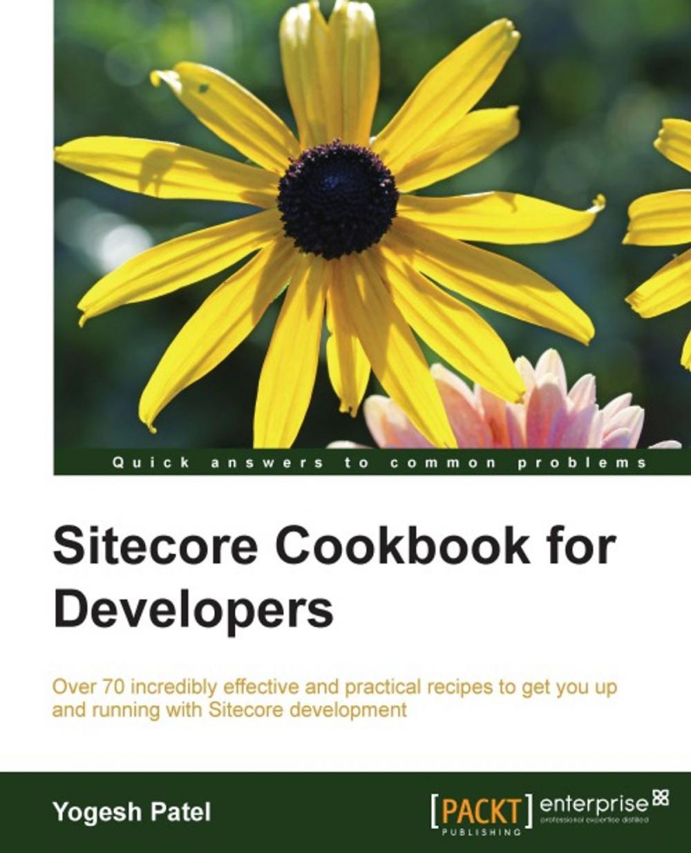 Big bigCover of Sitecore Cookbook for Developers