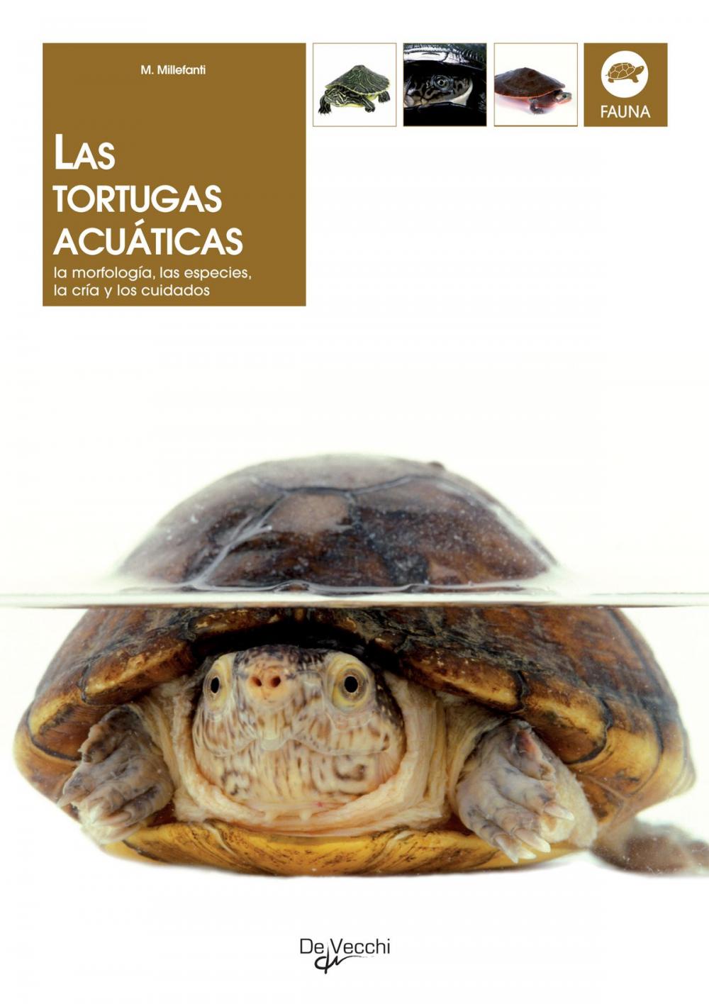 Big bigCover of Las tortugas acuáticas