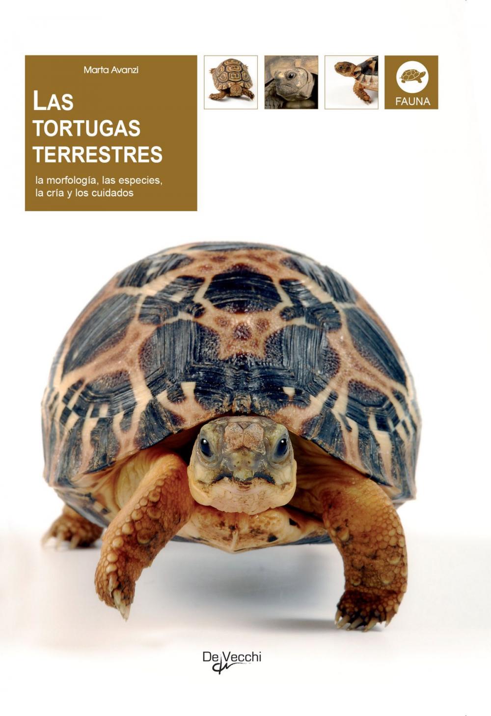 Big bigCover of Las tortugas terrestres