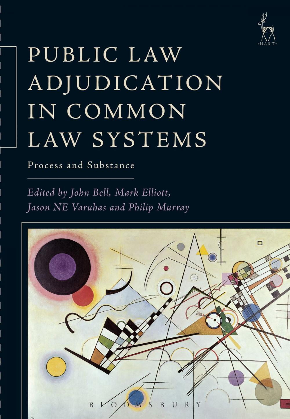 Big bigCover of Public Law Adjudication in Common Law Systems