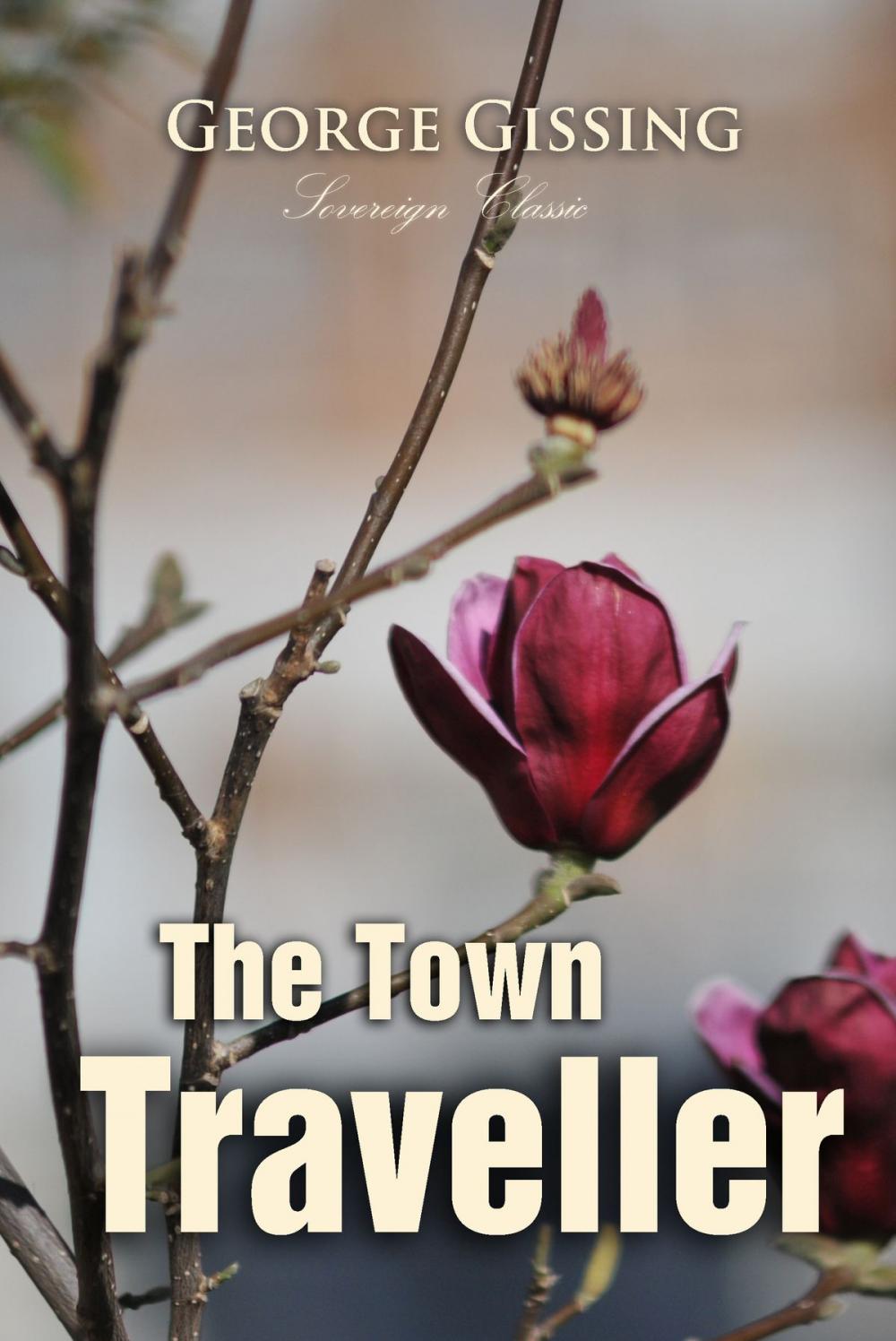 Big bigCover of The Town Traveller